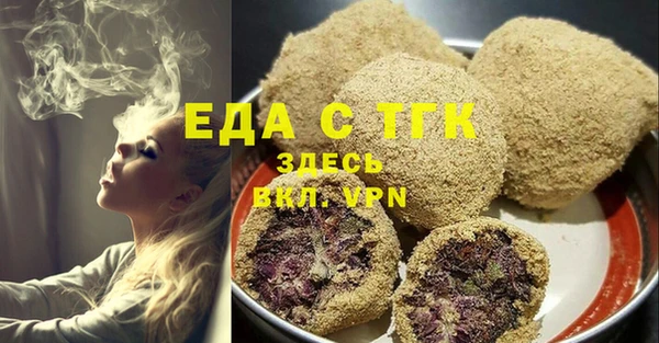 гашик Гусь-Хрустальный