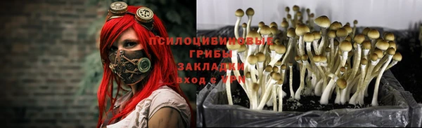 кокаин Гусев