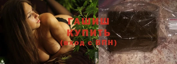 гашик Гусь-Хрустальный