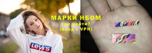 гашик Гусь-Хрустальный