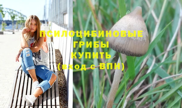 мет Гусиноозёрск