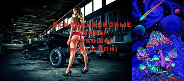 мет Гусиноозёрск