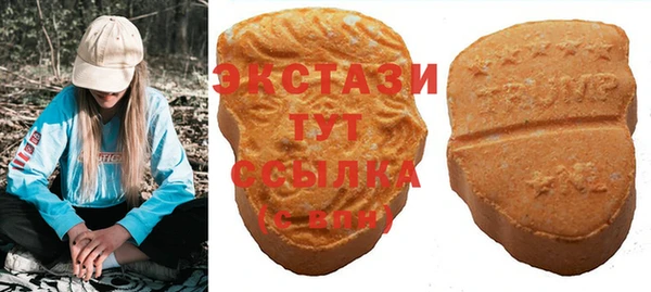 гашик Гусь-Хрустальный