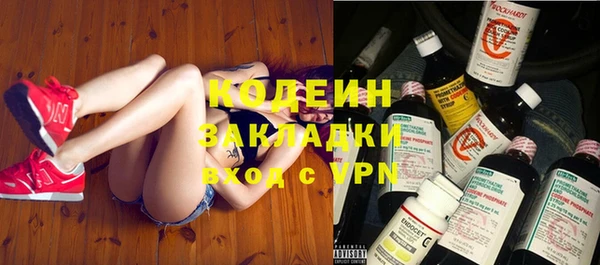 гашик Гусь-Хрустальный