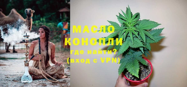 гашик Гусь-Хрустальный