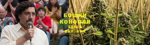 гидра Белая Холуница