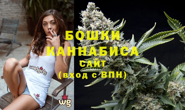 гашик Гусь-Хрустальный