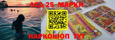 Альфа ПВП Заволжье