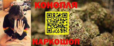 Альфа ПВП Заволжье