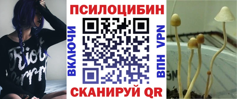 купить наркотик  Егорьевск  Галлюциногенные грибы мухоморы 